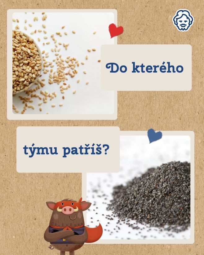 Sezam vs. Mák – co máš raději? 🌾✨ Silná oříšková chuť, nebo jemná lehkost? Tradice od babičky, nebo univerzální klasika?...