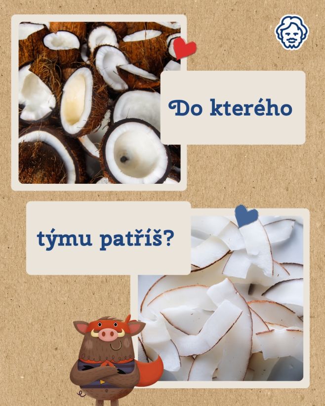 Do kterého týmu patříš? 🥥 Team čerstvý kokos 🌴 – šťavnatý, vláčný, voní exotikou nebo Team sušený kokos ✨ – křupavý,...